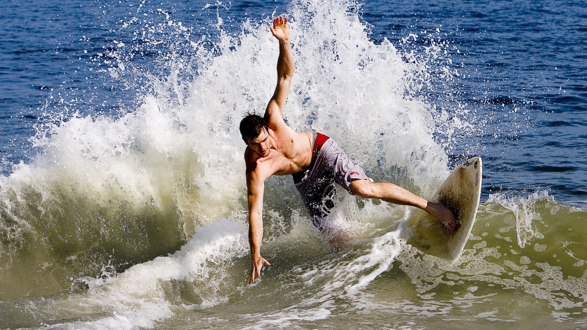 开云平台-动物与人类体操:动物元素的运动趣味,动物体操儿歌视频大全 第2张 开云平台-动物与人类体操:动物元素的运动趣味,动物体操儿歌视频大全 第2张