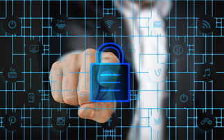 开云体育-校园体育安全管理策略研究，校园体育安全管理策略研究报告