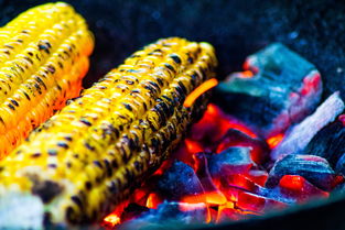 开云官网体育-运动饮食干预对运动表现的促进研究，举例阐述饮食运动对健康的意义