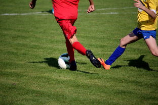 开云娱乐-“拳王争霸：四川省体育馆拳击赛将诞生新的世界拳王”